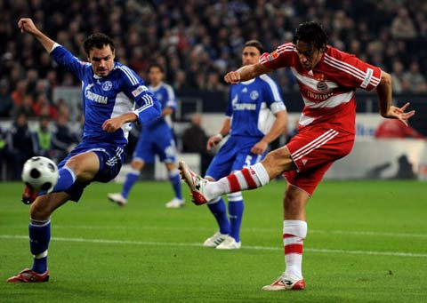 平台散播的 平台散播的